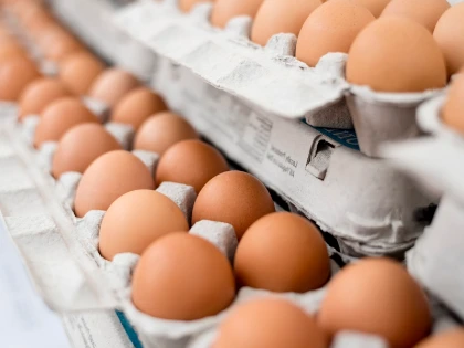 卵をよく食べるのはどんなメリットがありますか。